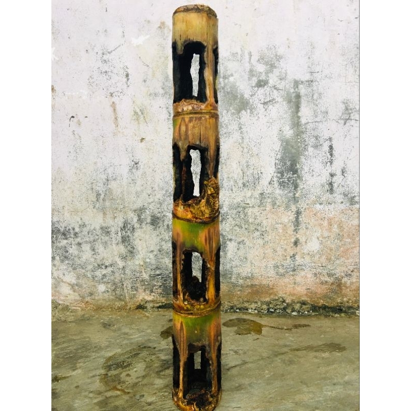 bambu unik alami sangat langka