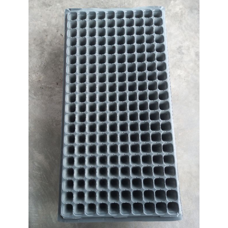 tray semai/ pot tray 200 lubang