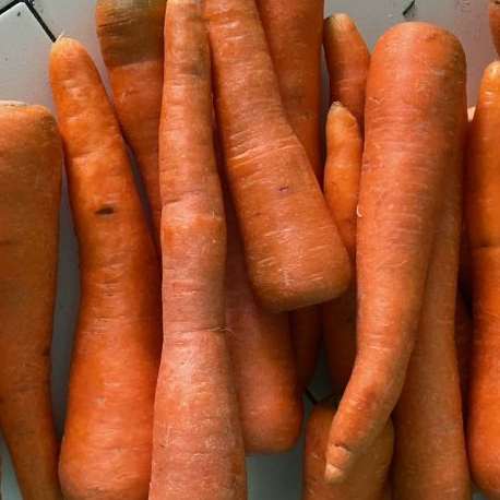

GEENE Wortel Berastagi 500 gr/1 Kg - Sayur Online Sidoarjo