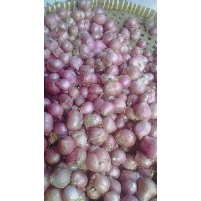 

Bawang Merah