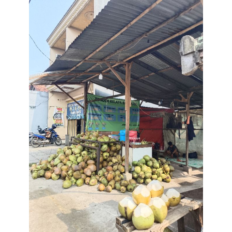 

kelapa muda muda original