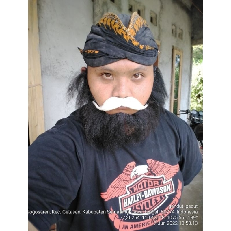 jebres kumis palsu kuda lumping putih