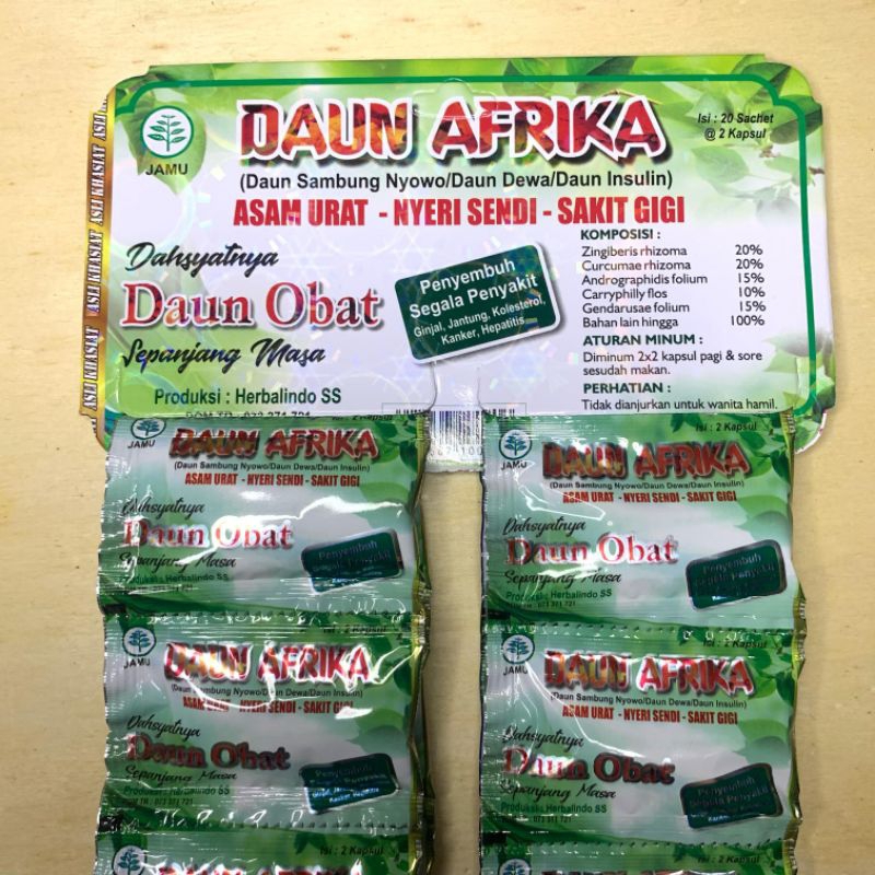 KAPSUL DAUN AFRIKA ORIGINAL ASAM URAT