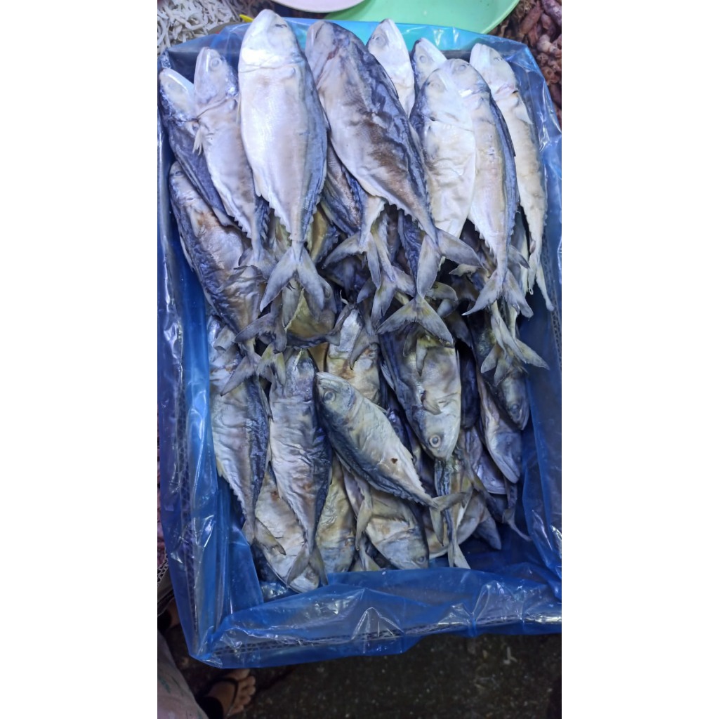 

Ikan Asin Peda - Ikan Asin Peda Medan - Asin Peda - Peda Asin