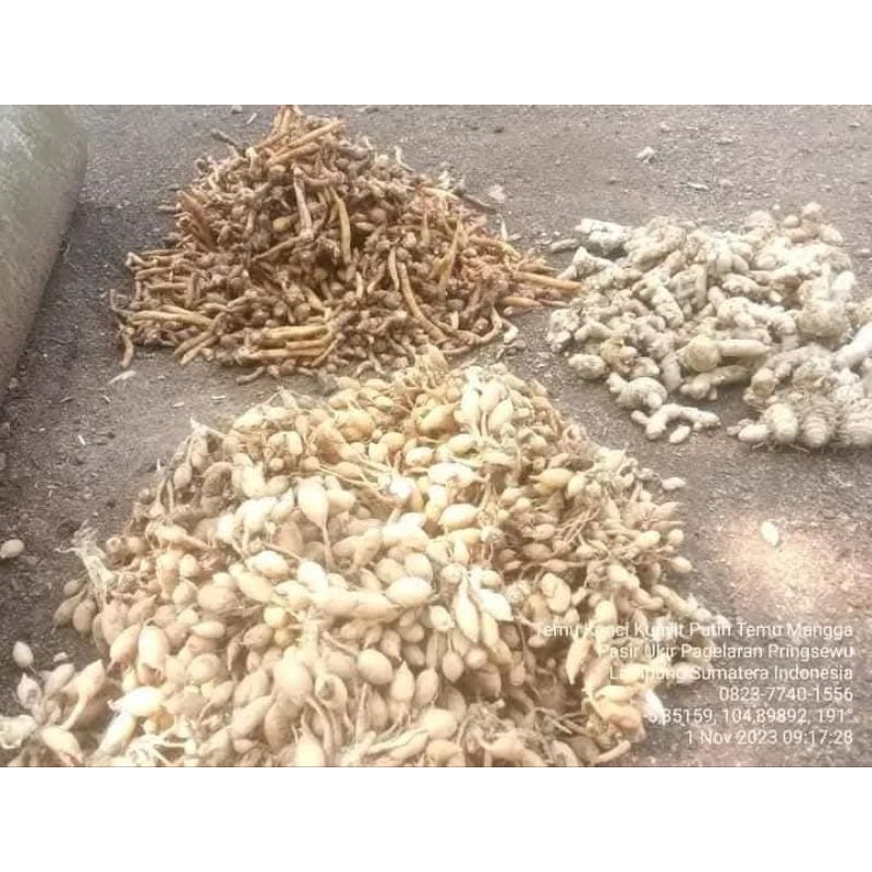 Temu Kunci 1 Kg