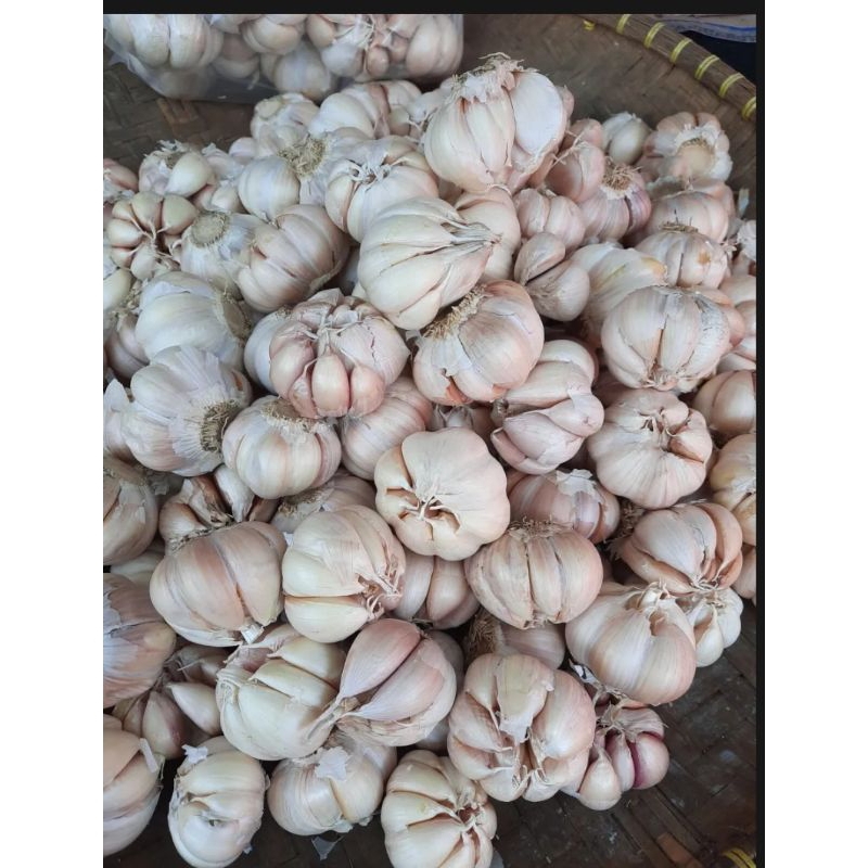 

ready kemasan ( 1.kg ) BAWNG PUTIH PANEN BARU