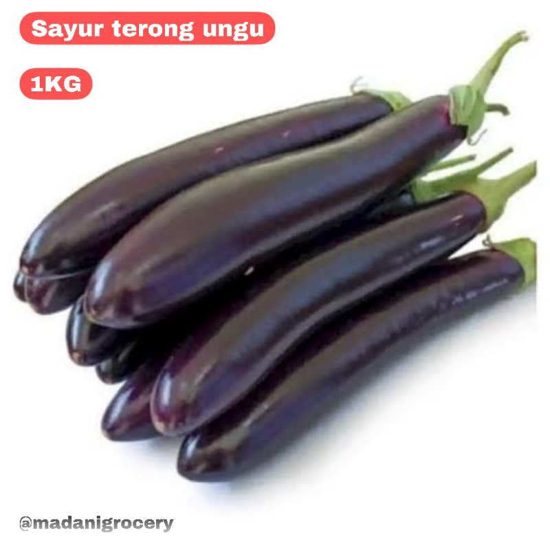 

Sayur Terong Ungur 1Kg