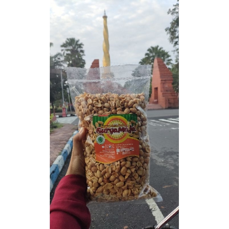 

Kacang Suryamaja