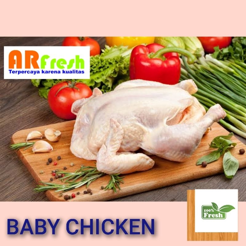 

Ayam Potong Muda / Baby Chicken (07-08 kg)