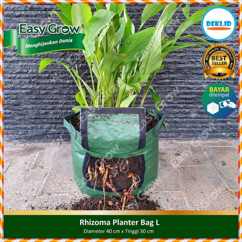 Planter Rizhoma Easy Grow L Large PlanterBag Rhizoma Bag Easygrow Umbi Rimpang Kunyit Jahe