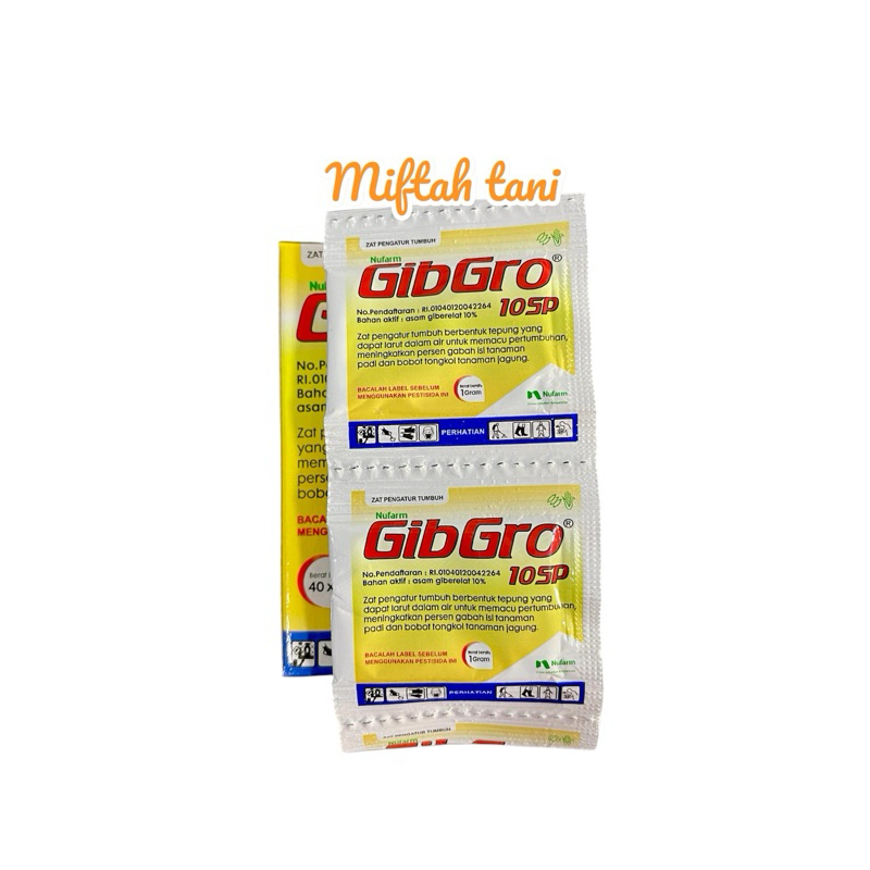 GIBRO 10 SP
