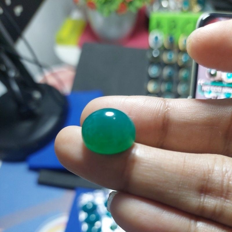 bacan doko gulau ijo