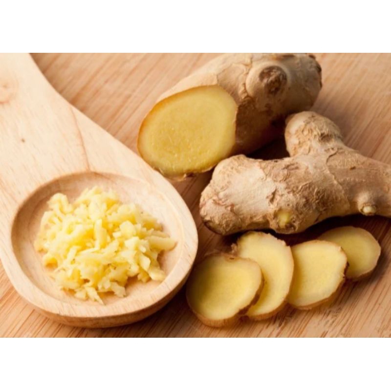 

Kencur segar cikur bumbu dapur 250gr 250gr