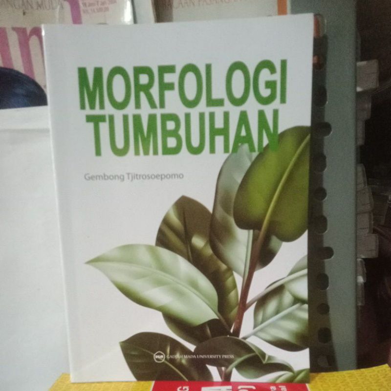 

MORFOLOGI TUMBUHAN