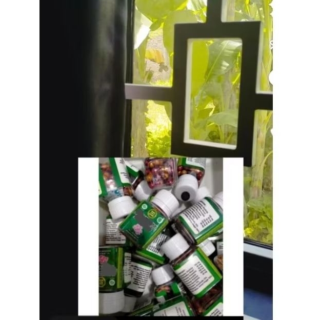 

Jamu pe lakor / pelakor original