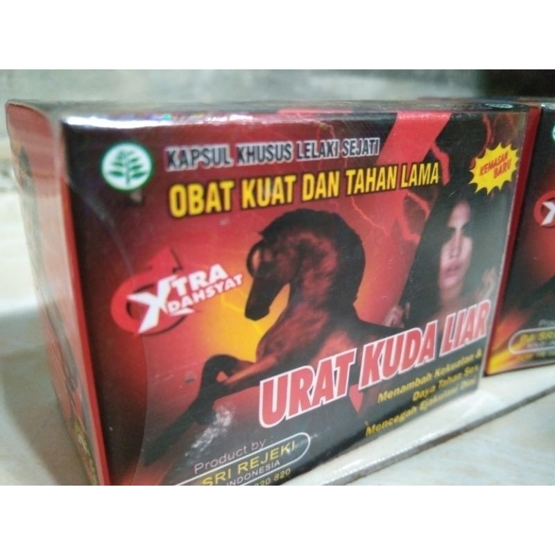 urat kuda liar//kapsul