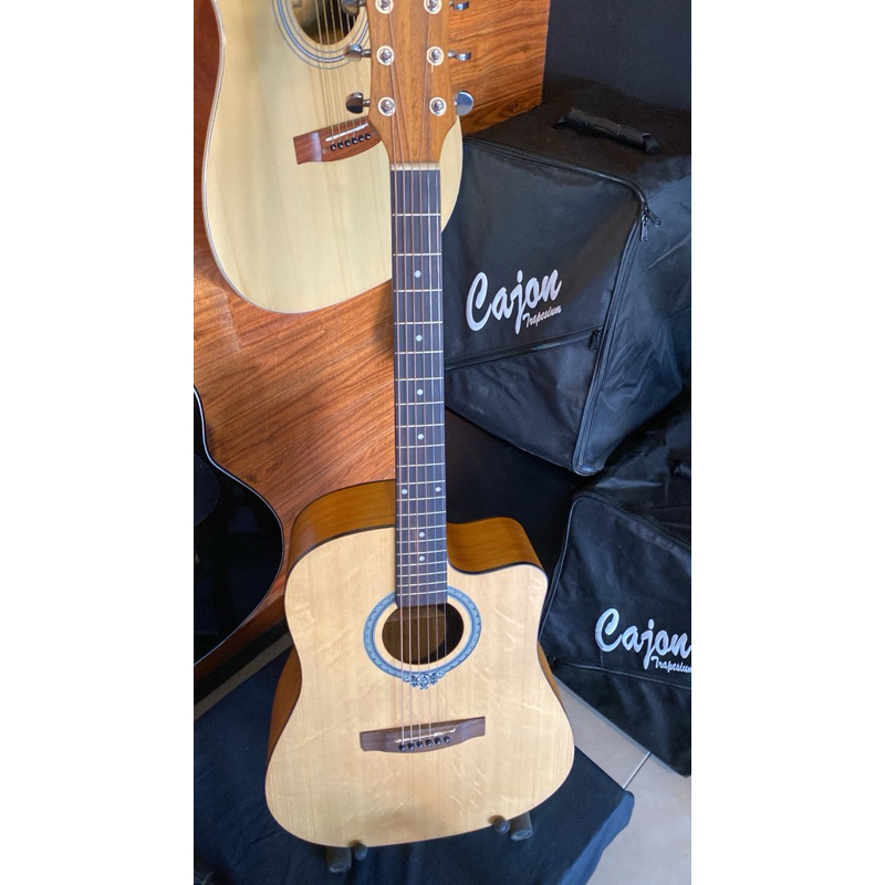 gitar dluxe dw100 original