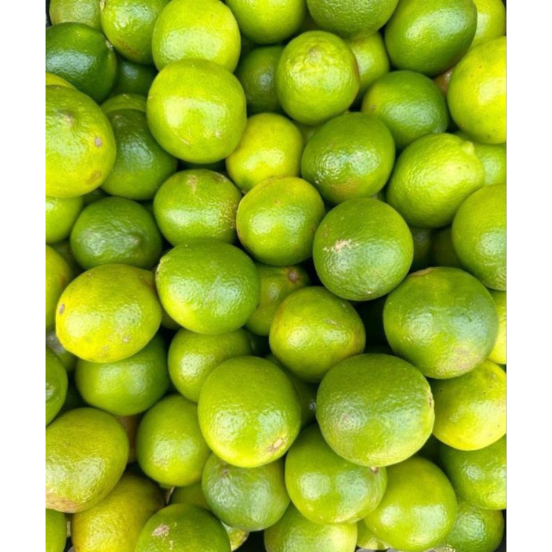

Jeruk Nipis Segar, Jeruk Nipis 1kg, jeruk nipis kesehatan, Jeruk Masak, Jeruk Kecantikan