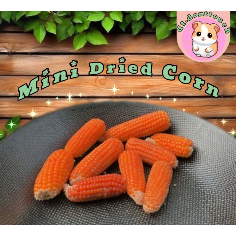 Hamster Mini Dry Corn /Jagung Mini Kering Utuh