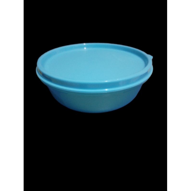 Tupperware Junior Modular Bowl 300ml (1)