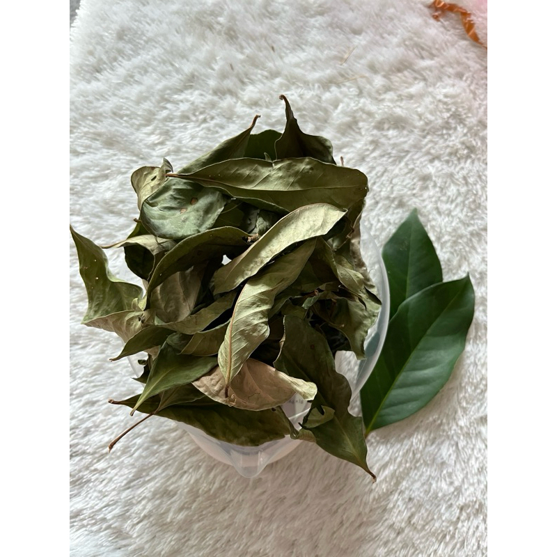 

Daun Salam Kering 100 gr