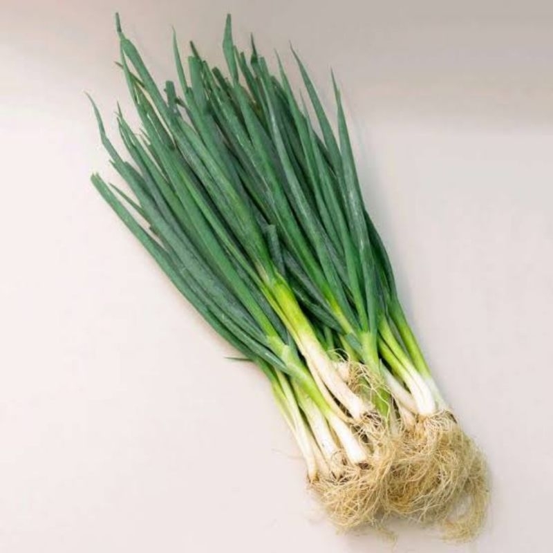 

Daun Bawang | Bawang Pre Per Ikat