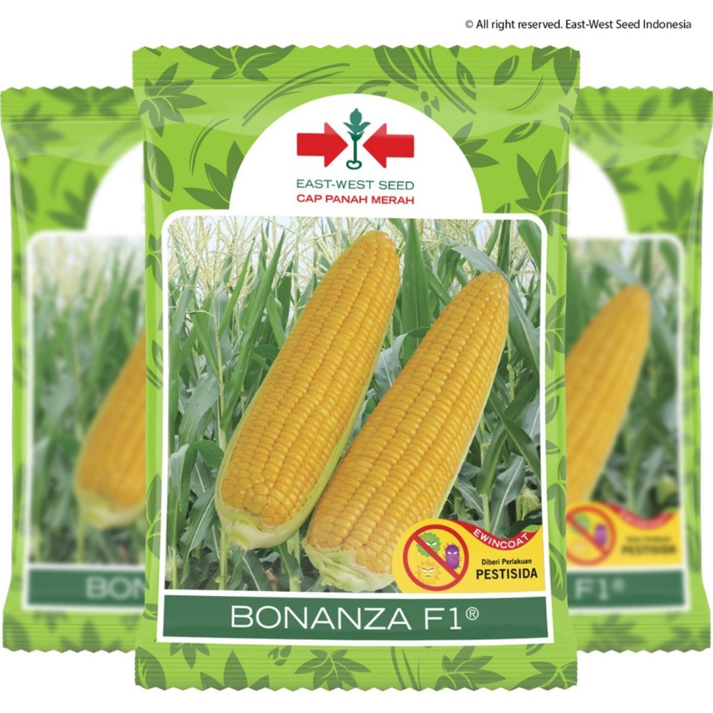 

ORIGINAL !!! Benih Jagung Manis Bonanza Now F1 isi 1800 butir