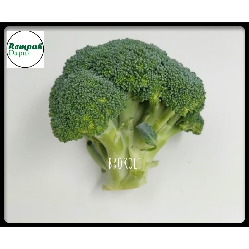

sayur brokoli segar