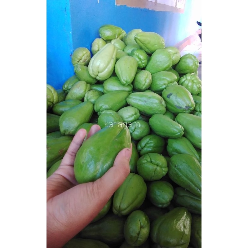 

Labu Siam/Japan Petik Waktu di Order per 1 kg