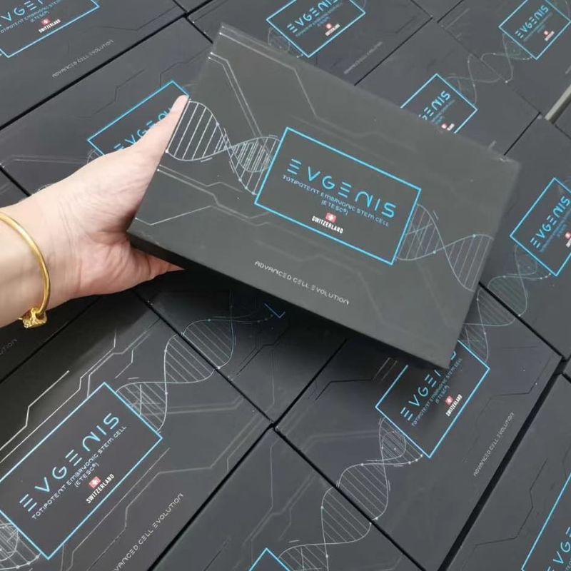 Evgenis totipotent embryonic stem cell | box