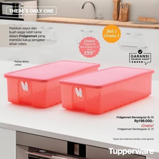 TUPPERWARE APRIL SALE - Fridgesmart Rectangular 2L - Peach (2pc) - PROMO MURAH Rp. 199.000