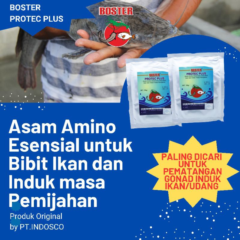 BOSTER PROTEC PLUS asam-asam amino essential untuk bibit dan induk ikan paling Laris