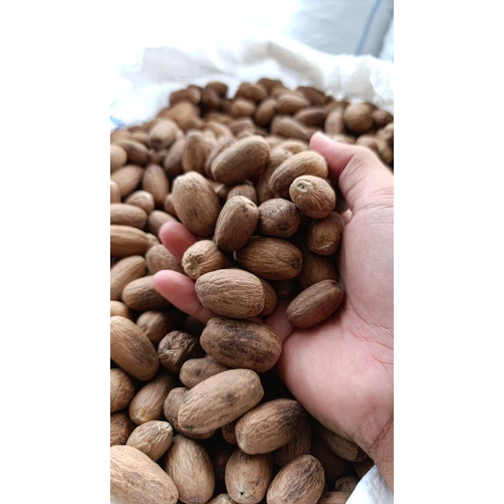 

Pala kupas 1000gr - Pala kupas lonjong 1000 gr