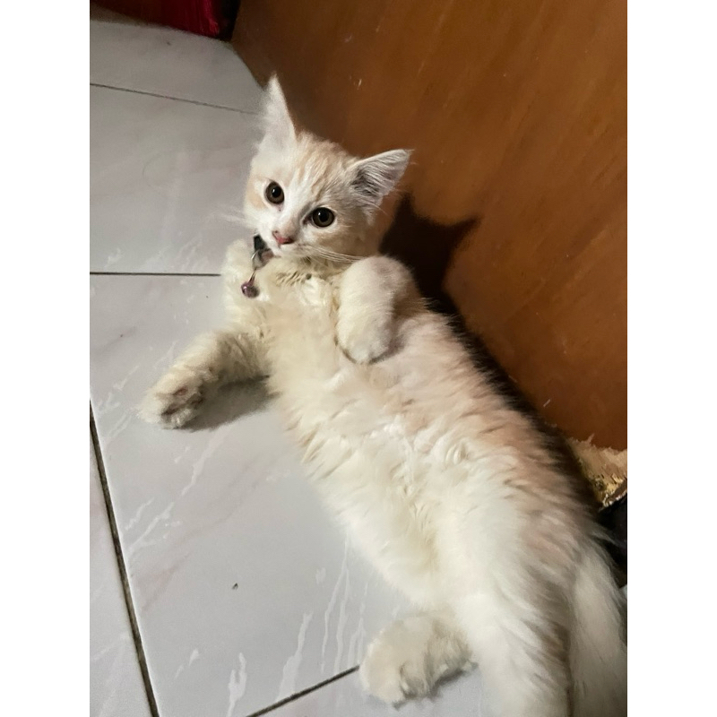 

punya nisa sama kak eka