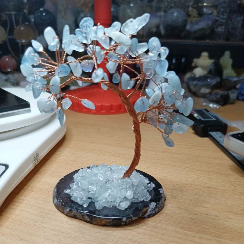 pohon hoki chip agate