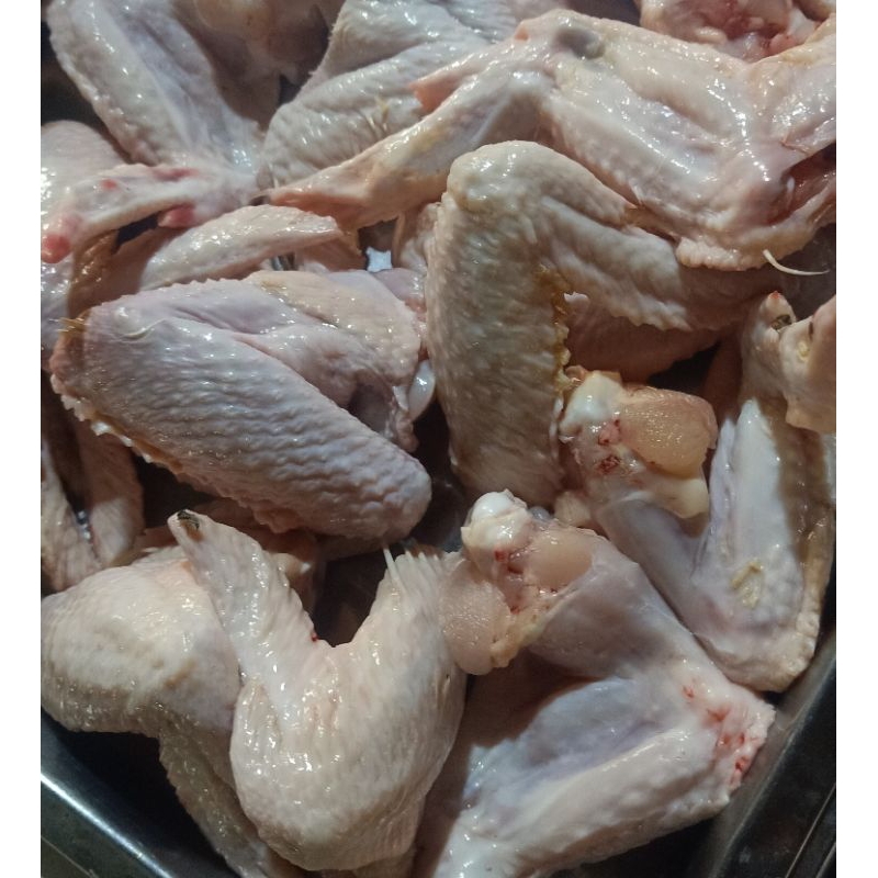 

Sayap Ayam Fresh Ukuran 250g/500g/1Kg