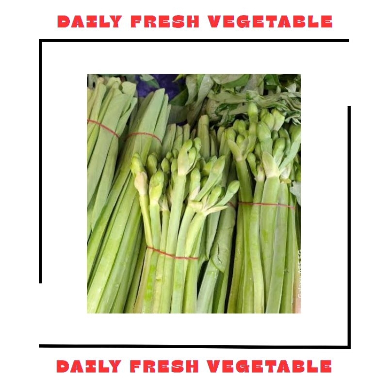

Genjer Fresh 1 Ikat