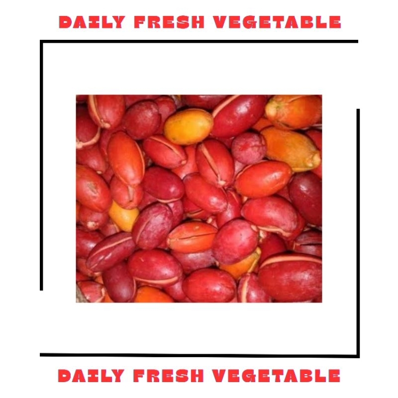 

Kulit Melinjo Fresh 250gr
