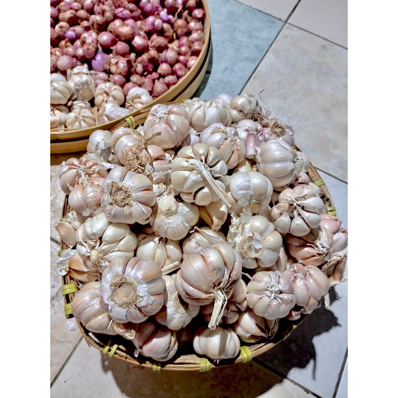 

bawang putih bersih 500 gram