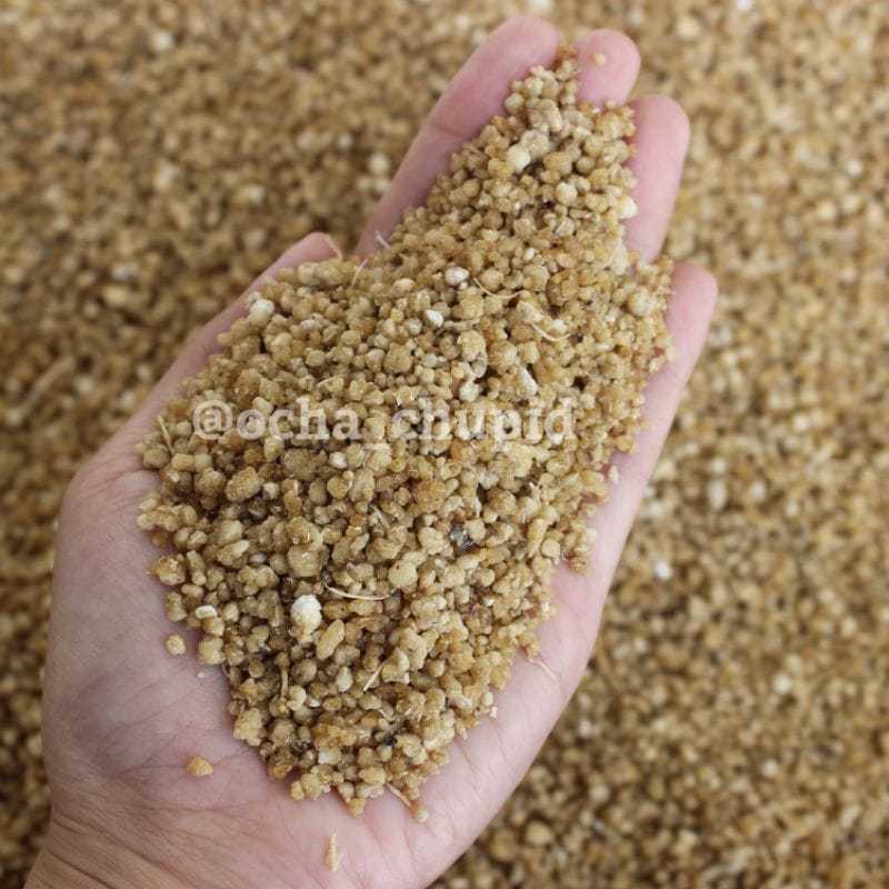 

NASI TIWUL ORIGINAL 100%