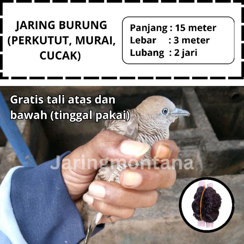 PIKAT JEBAKAN BURUNG PERKUTUT JARING BURUNG KUTILANG JARING BURUNG WARNA HITAM SIAP PAKAI