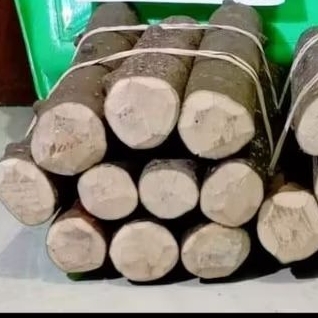 BAHAN STEK MURAH ANTING PUTRI BAHAN BONSAI PAKET HEMAT