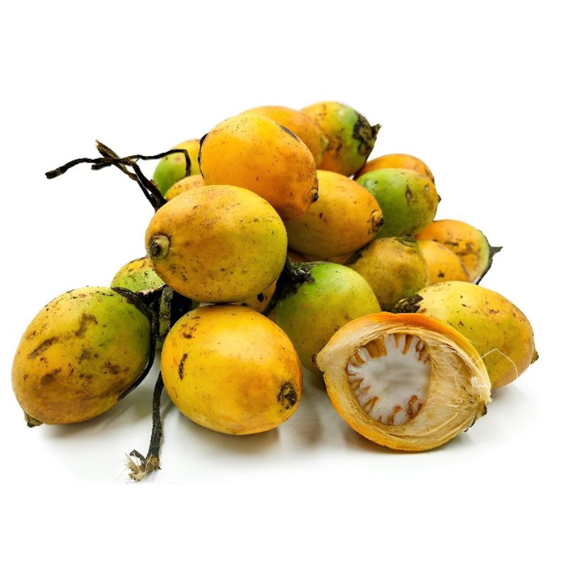 

Buah Pinang Tua 1 KG