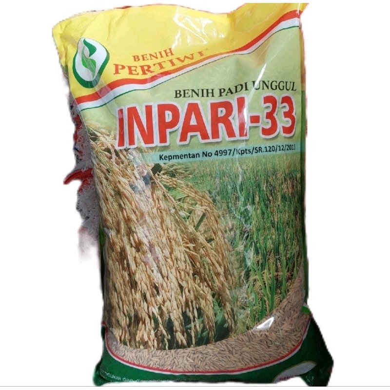 Benih Padi Pertiwi Inpari 33 Bibit Premium 5 kg
