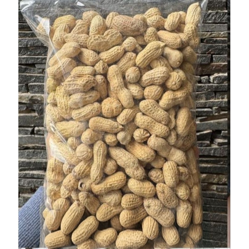

Kacang Kulit Oven Gurih | Snack Camilan Kiloan