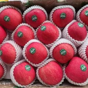 

Apel FUJI WANGSHAN PREMIUM QUALITY (1 pcs) 200g