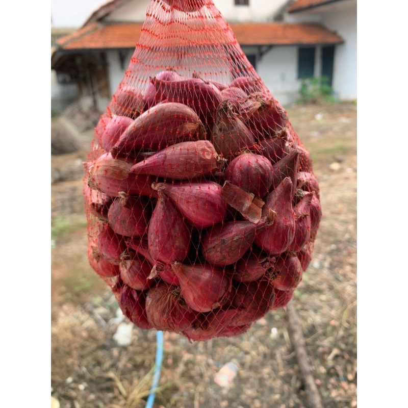 

Bawang Merah Asli Brebes Ukuran Pilihan 1Kg