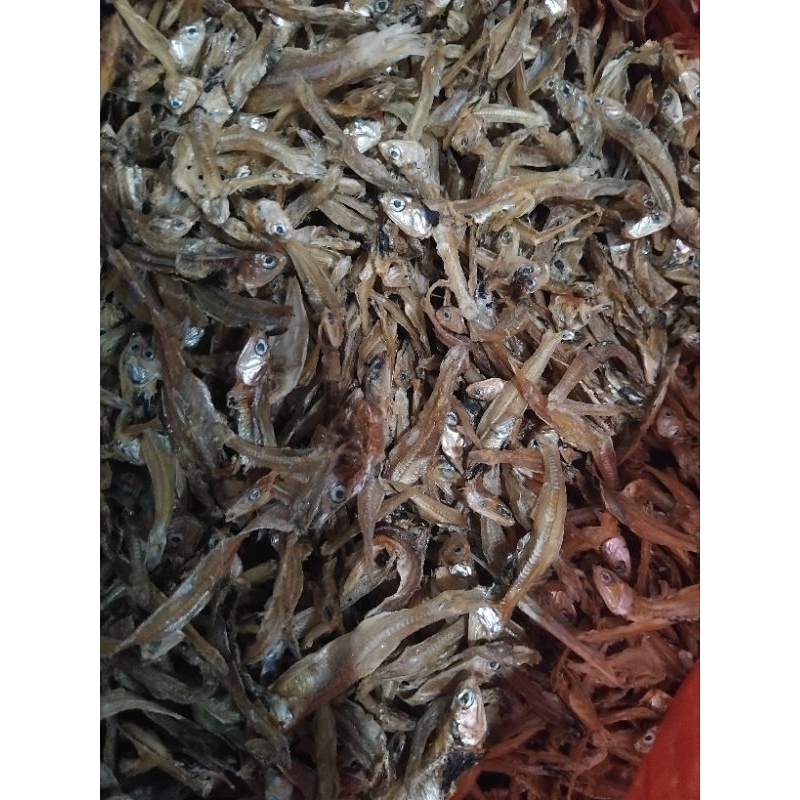 

ikan teri asin/tawar