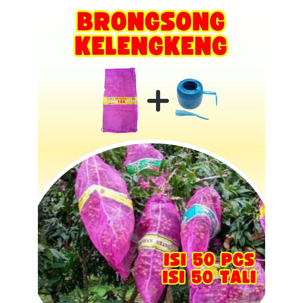 PALING DICARI  Brongsong Kelengkeng Diamond isi 50 Pcs dengan Tali