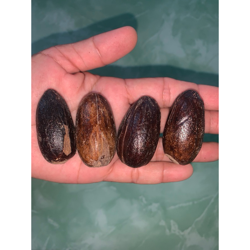 

Pala rempah rempah masakan